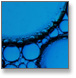 Highland Fluid Technology Website